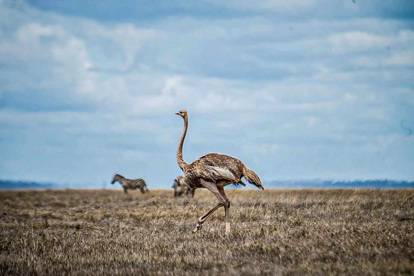 Lake Natron