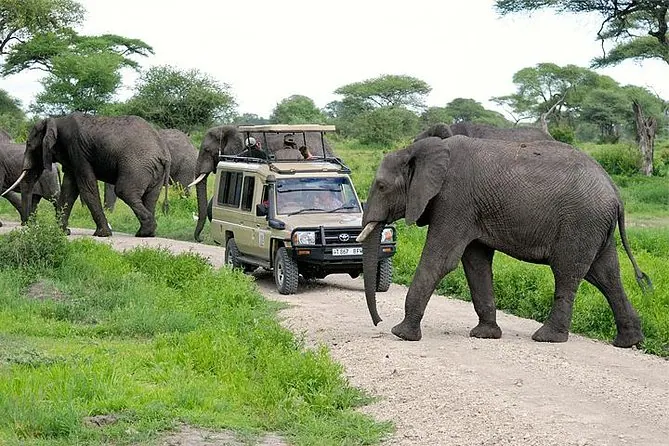 Tanzania travel image
