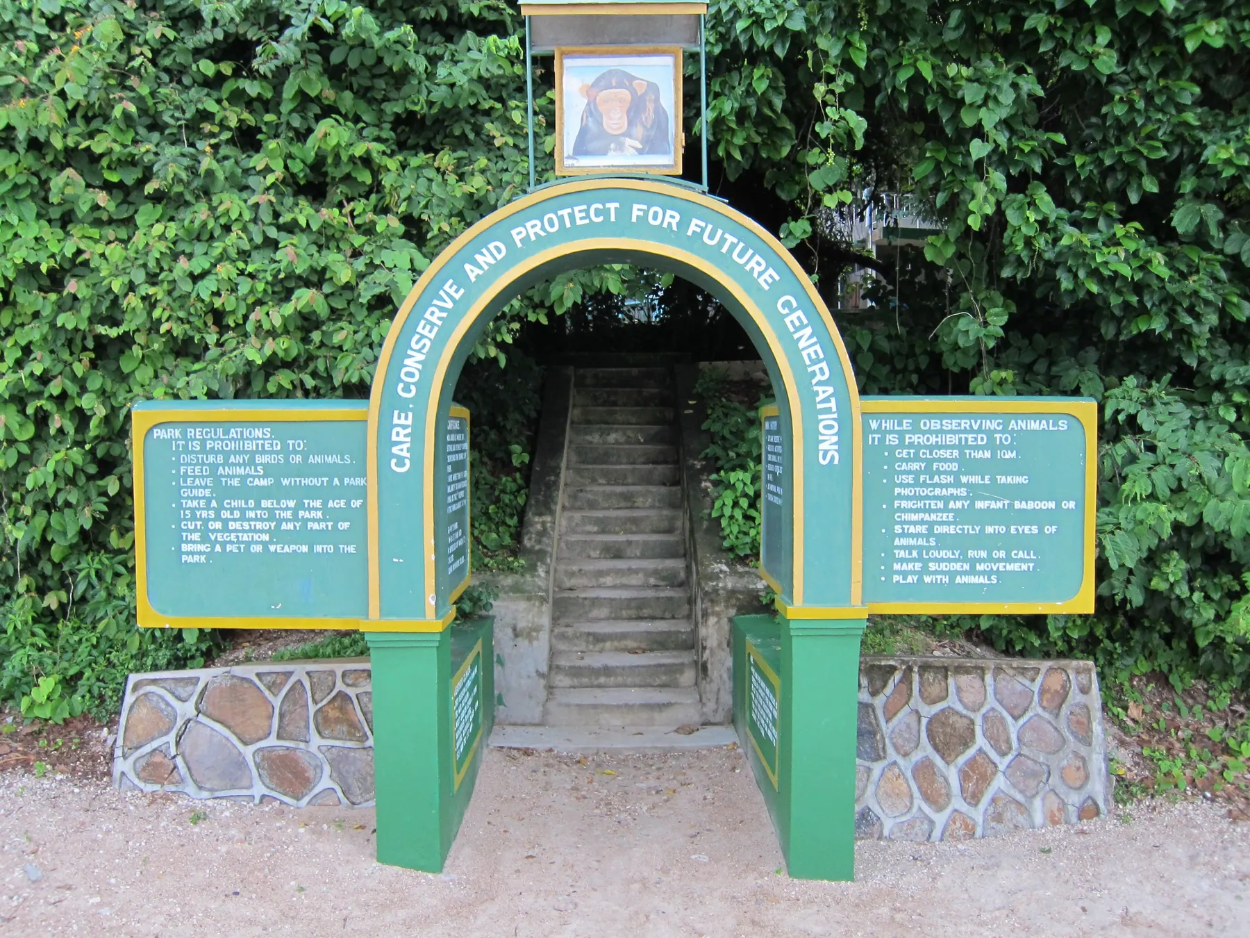 Tanzania travel image