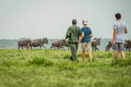 Tanzania travel image