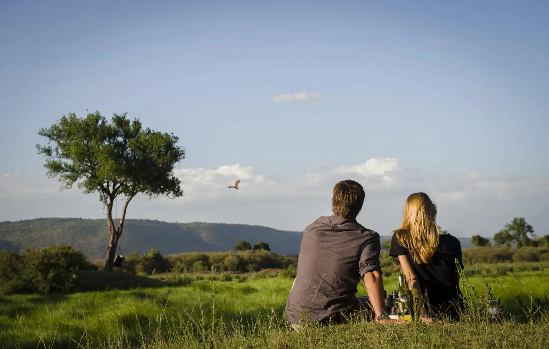 Tanzania travel image