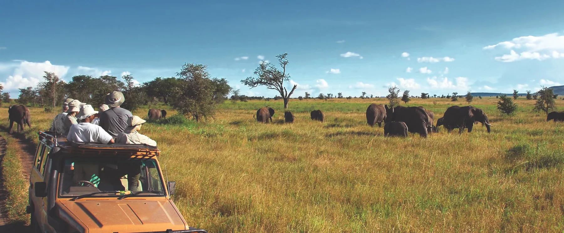 Serengeti vs Ngorongoro