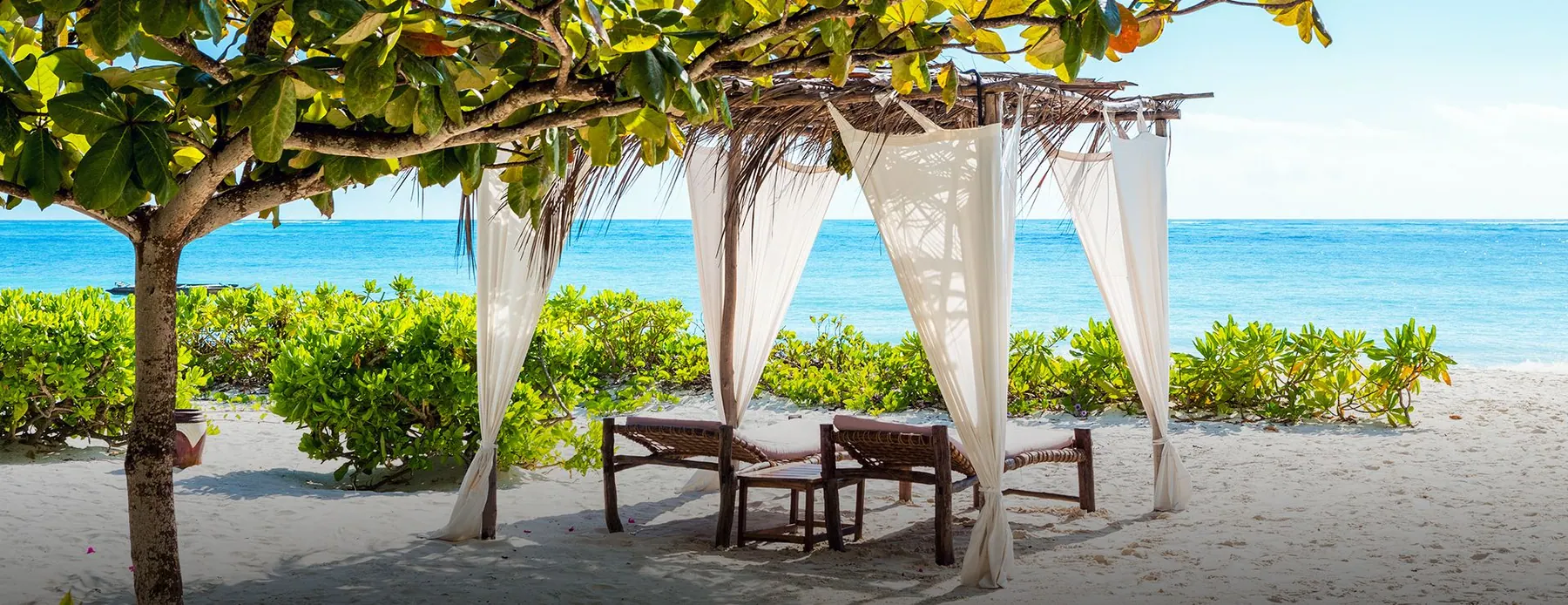 Tanzania travel image
