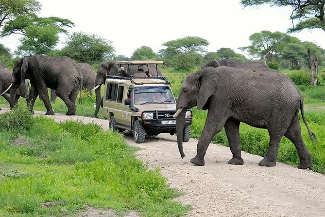 Arusha City Tour