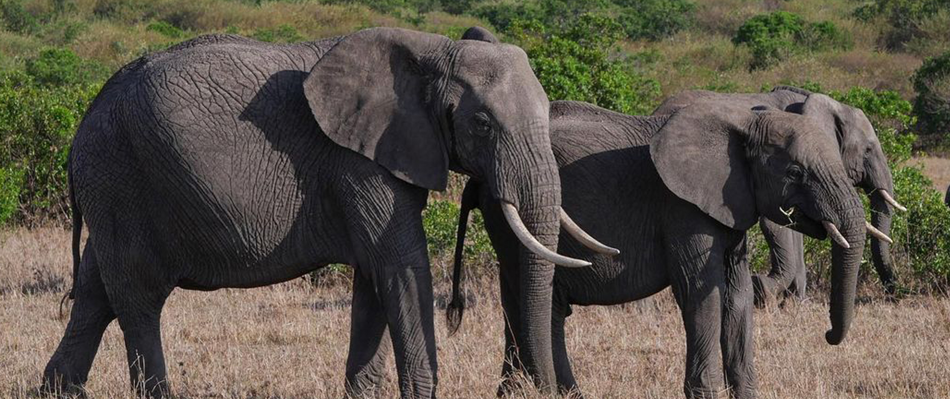 6 Days Mid-Range Tanzania Safari route area